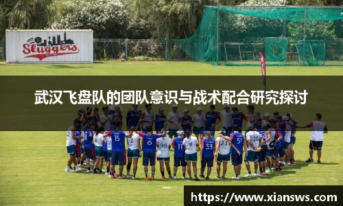 武汉飞盘队的团队意识与战术配合研究探讨