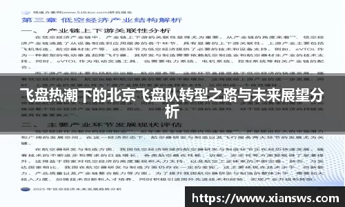 飞盘热潮下的北京飞盘队转型之路与未来展望分析